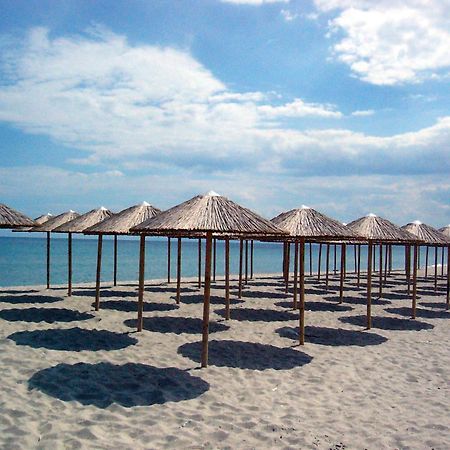 Hotel White Rose Beach Olympiaki Akti Bagian luar foto