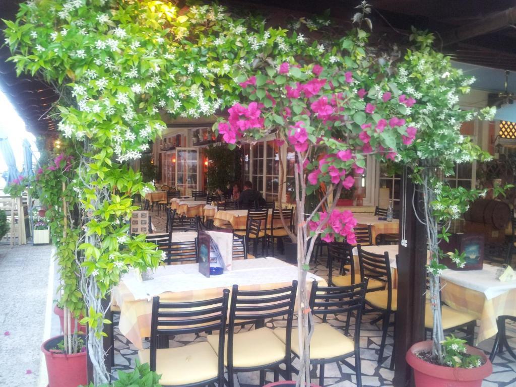 Hotel White Rose Beach Olympiaki Akti Bagian luar foto